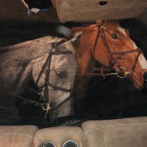 A horse blanket